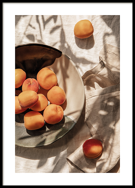 Apricots In Sunlight Poster