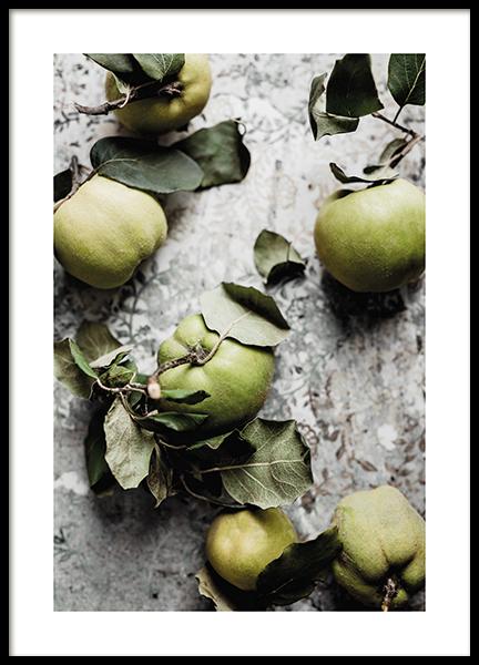 Fresh Quince Fruit Poster