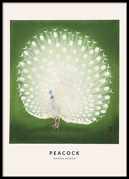 Ohara Koson - Peacock Poster
