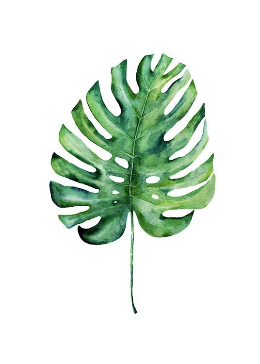 Monstera Aquarell One Poster