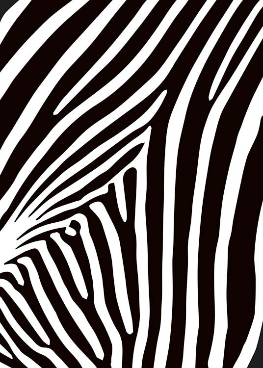 Zebra Stripes Poster / Svartvita hos Desenio AB (10154)