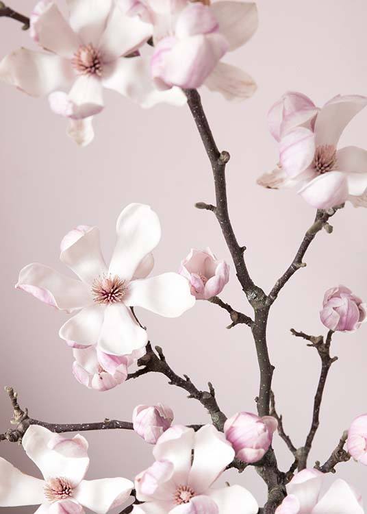 Pink Spring Flower Poster / Fotokonst hos Desenio AB (10213)