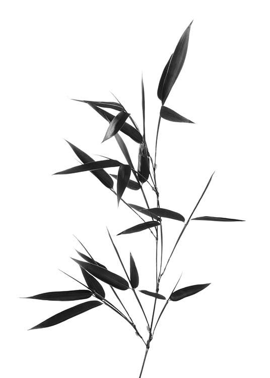 Bamboo Twig Poster / Svartvita hos Desenio AB (10390)