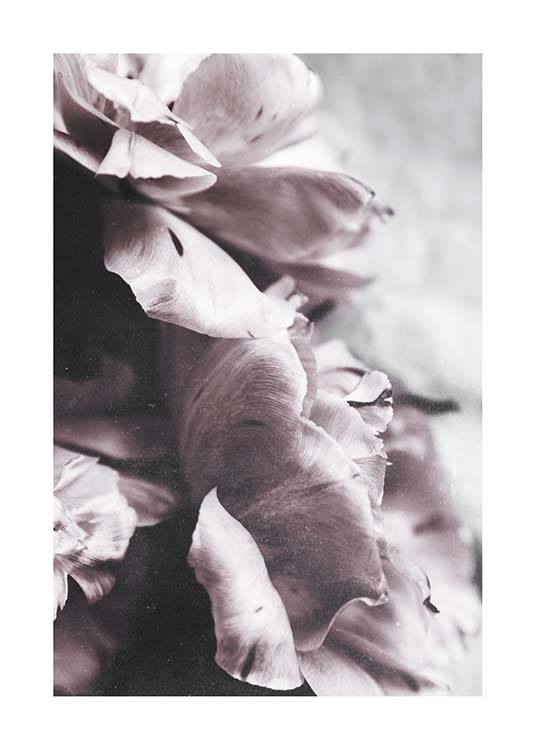 Touch Of Spring Poster / Fotokonst hos Desenio AB (10416)