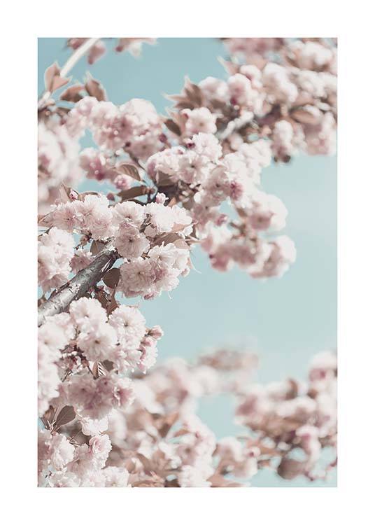 Cherry Blossom No4 Poster / Fotokonst hos Desenio AB (10429)