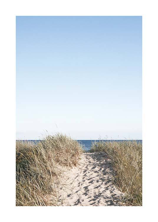 Path on beach Poster / Naturmotiv hos Desenio AB (10477)