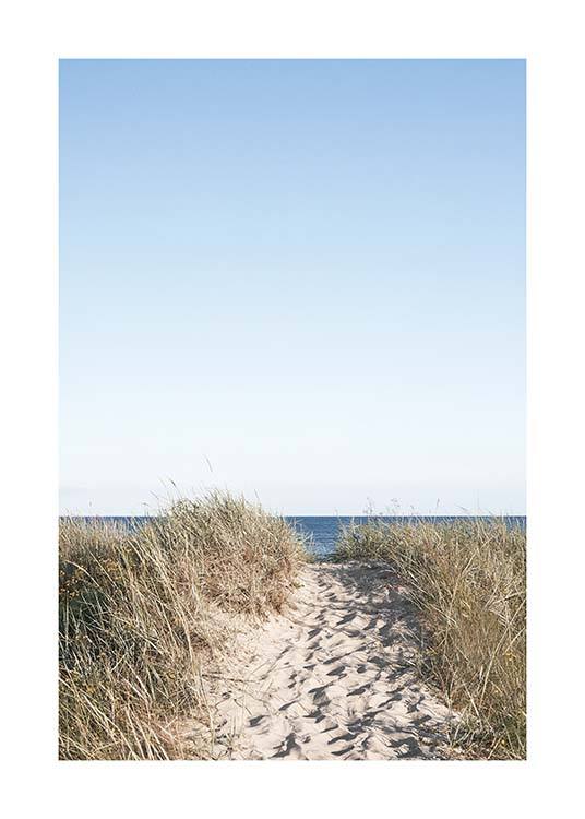Path on beach Poster