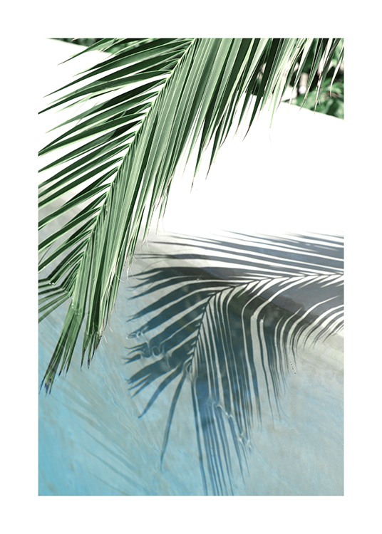 Poolside Palm Reflection Poster / Fotokonst hos Desenio AB (10666)