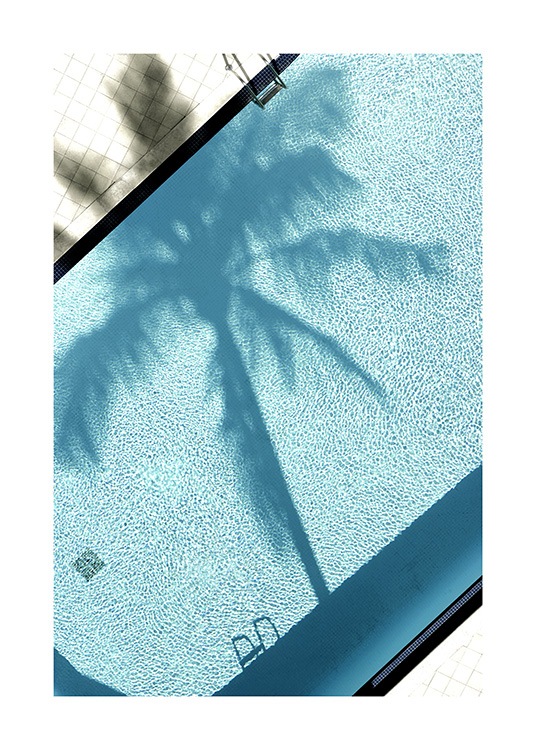 Pool and Palm Tree Poster / Fotokonst hos Desenio AB (10668)