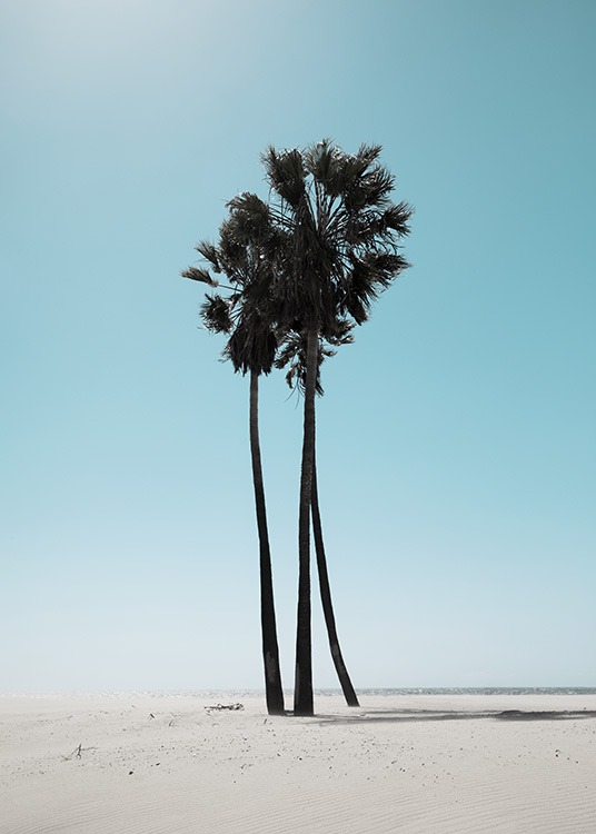 LA Beach Palms Poster / Tropisk hos Desenio AB (10784)