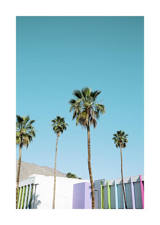 Rainbow Palms Poster / Tropisk hos Desenio AB (10789)