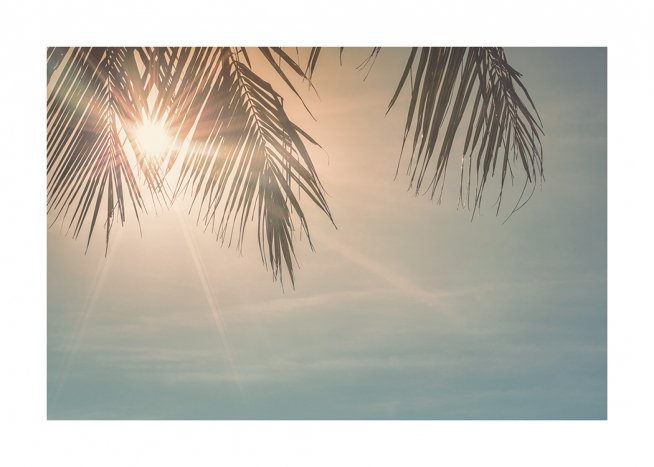Sunset Palm Leaves Poster / Himmel hos Desenio AB (10882)