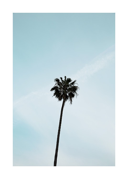 Palm Tree Poster / Naturmotiv hos Desenio AB (10955)