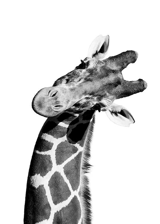 Giraffe Portrait Poster / Barntavlor hos Desenio AB (10966)