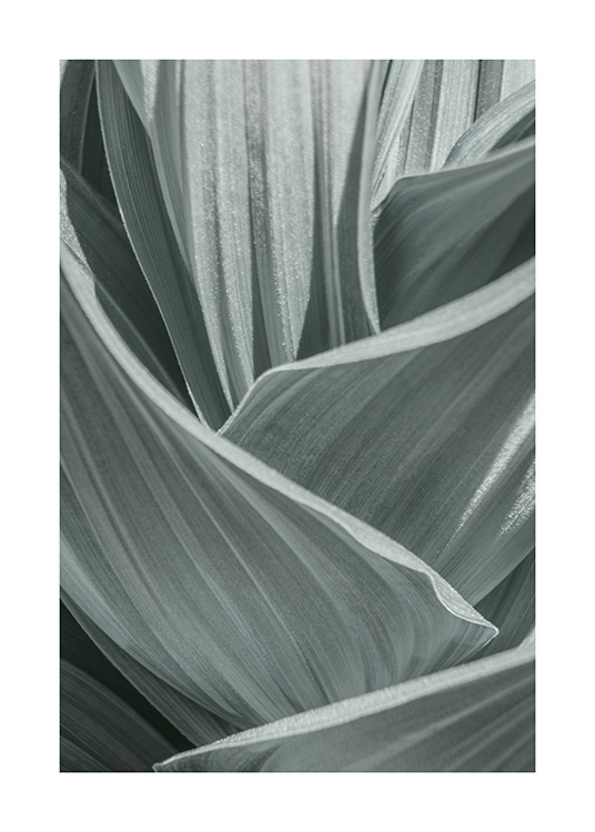 Abstract Green Leaves Poster / Fotokonst hos Desenio AB (10982)