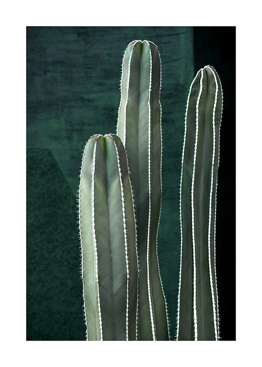 Dark Green Cactus Poster / Fotokonst hos Desenio AB (10983)