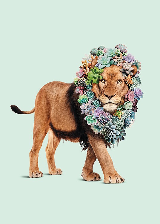 Succulent Lion Poster / Barntavlor hos Desenio AB (11021)