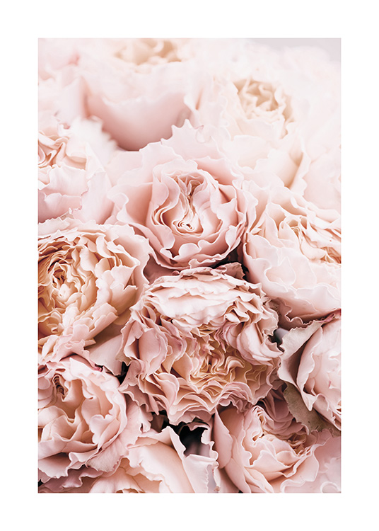 Bouquet of Roses Poster / Fotokonst hos Desenio AB (11189)