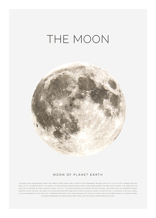 The Moon Poster / Barntavlor hos Desenio AB (11441)