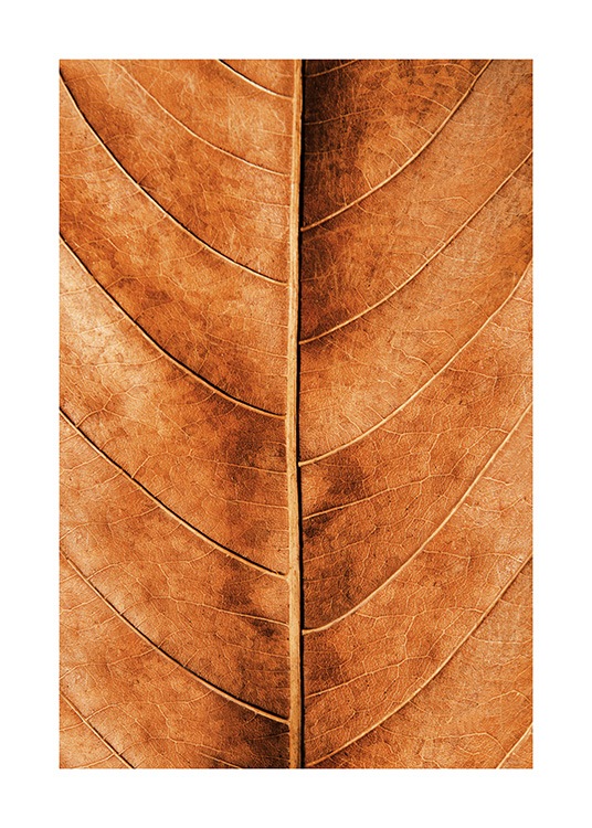 Autumn Leaf Poster / Naturmotiv hos Desenio AB (11575)