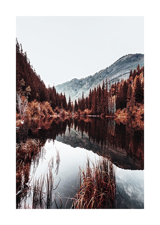 – Poster av en sjö med berg och träd en kall dag