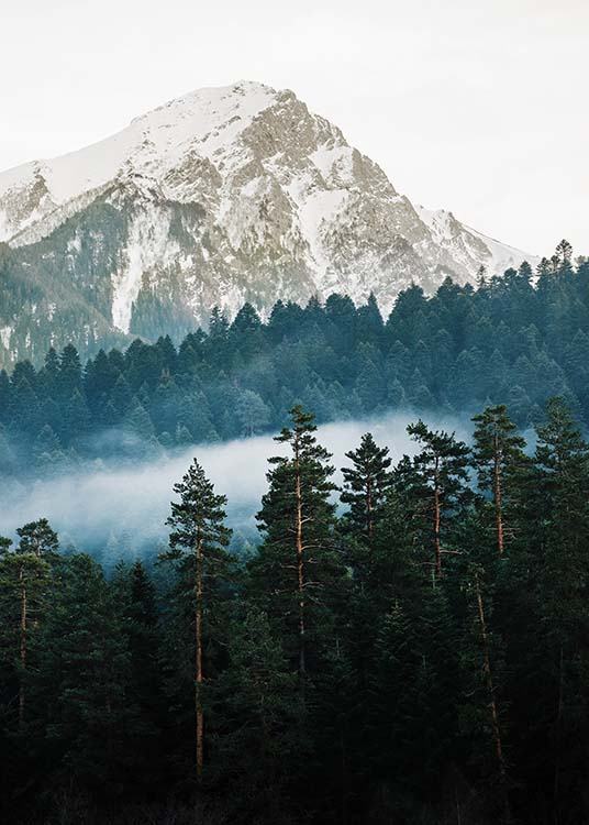–Fotografi av skogen framför ett berg.