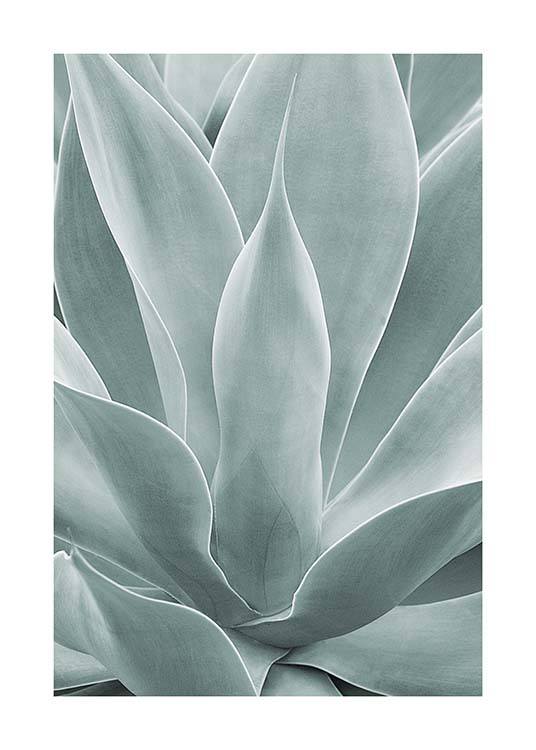 Agave Leaves No1 Poster / Fotokonst hos Desenio AB (11659)