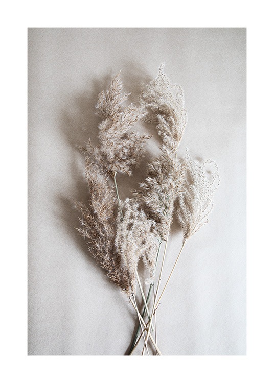 Bouquet of Autumn Reeds Poster