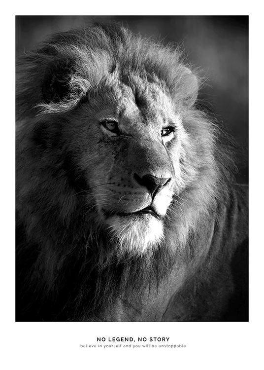 Lion Legend Poster / Djur hos Desenio AB (11855)