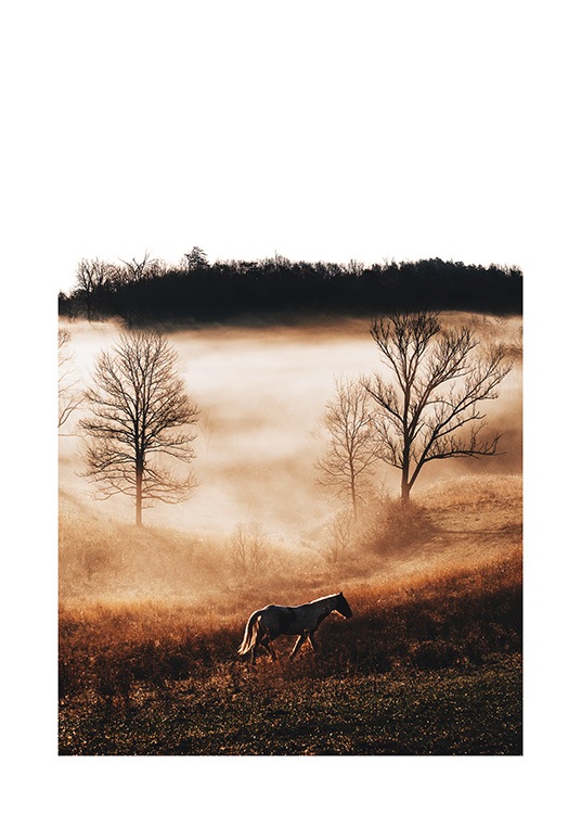 Horse in Landscape Poster / Fotokonst hos Desenio AB (11862)