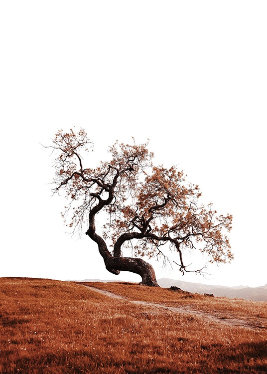 –Poster av ett träd på en kulle.