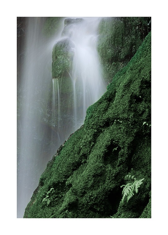 Waterfall in Forest Poster / Naturmotiv hos Desenio AB (12080)