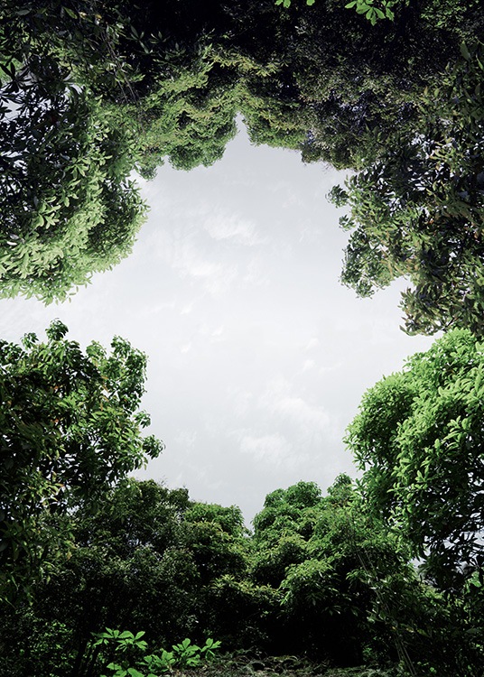 – Fotografi av träd som bildar en cirkel med himlen som lyser igenom.