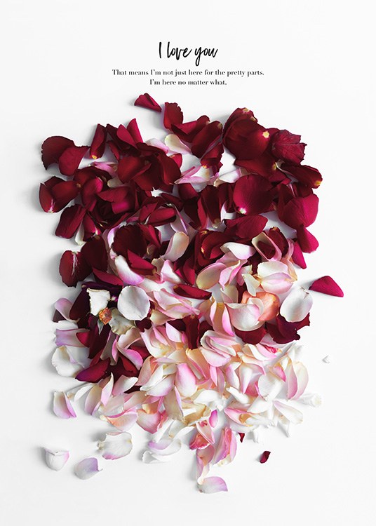 Rose Petals Poster / Konststilar hos Desenio AB (12144)