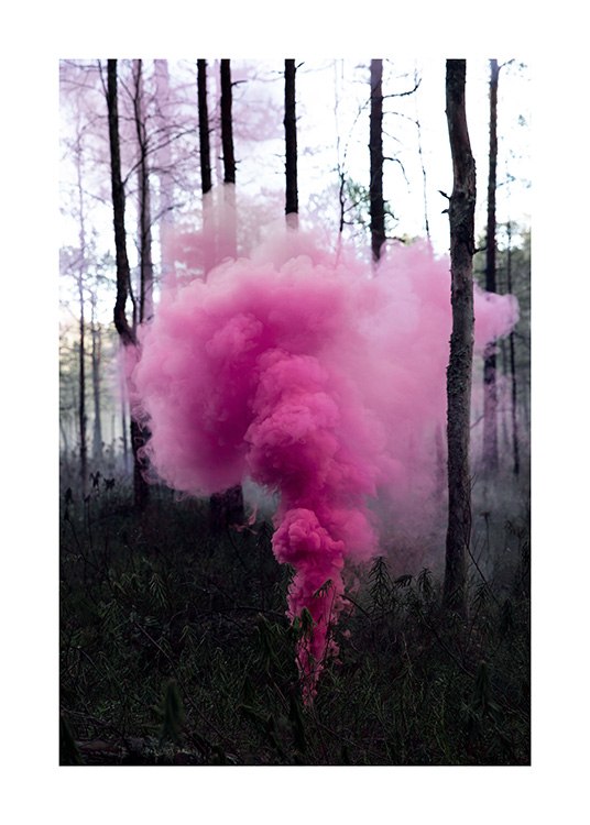 Pink Forest Poster / 50x70 cm hos Desenio AB (12175)