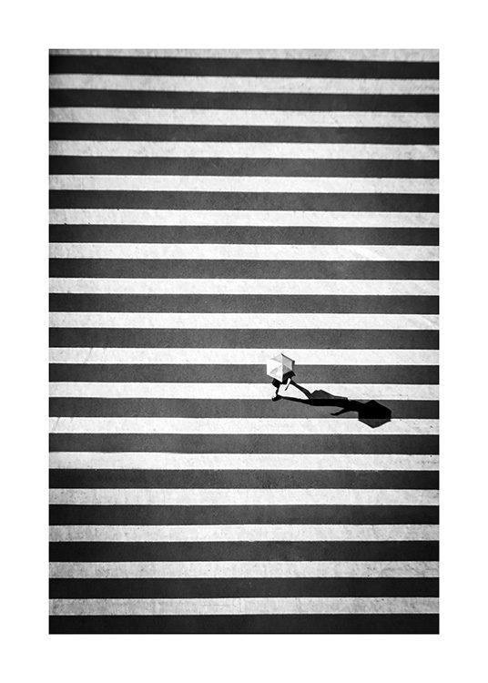 Zebra Crossing Poster / Svartvita hos Desenio AB (12383)