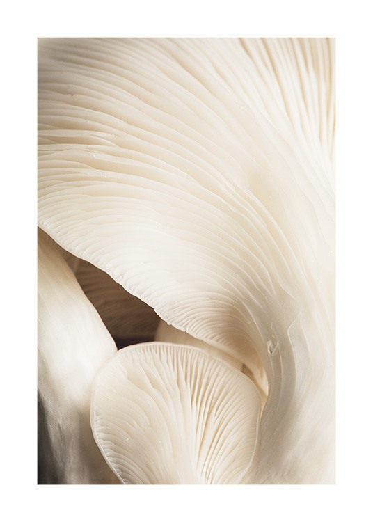 Beige Mushrooms Poster / Fotokonst hos Desenio AB (12397)
