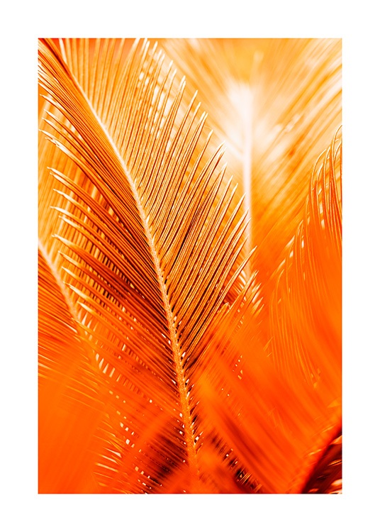 Orange and Gold Palm Poster / Botaniska hos Desenio AB (12403)