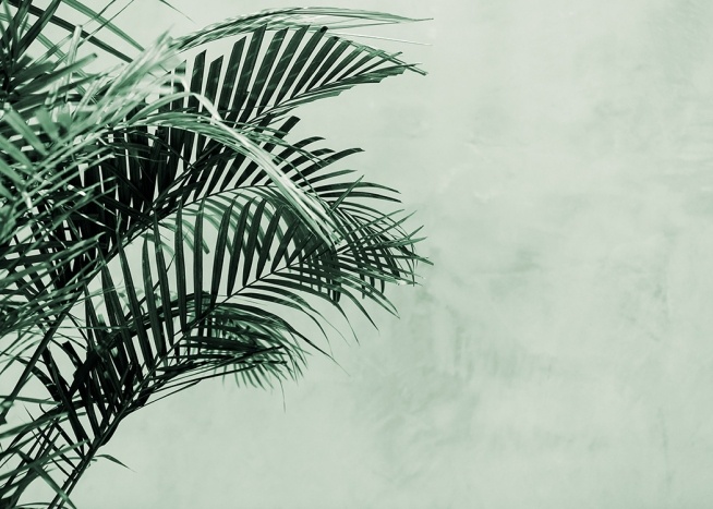 Palm Tree Wall Poster / Botaniska hos Desenio AB (12412)