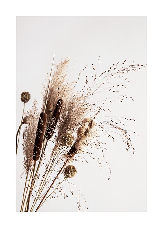 Dry Reeds No1 Poster / Fotokonst hos Desenio AB (12419)