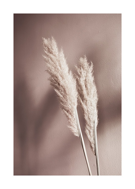 Beige Reeds No2 Poster