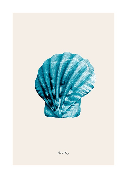 Blue Scallop Poster / Naturmotiv hos Desenio AB (12427)