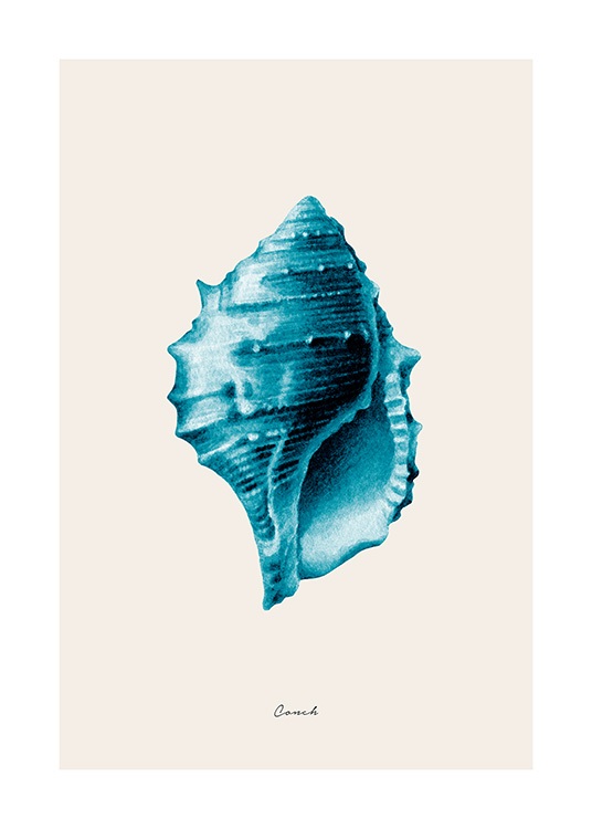 Blue Conch Poster / Illustrationer hos Desenio AB (12428)