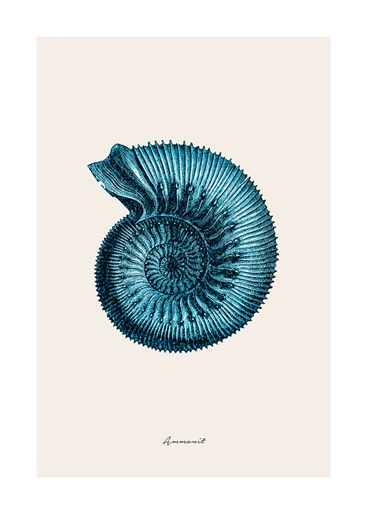 Blue Ammonit Poster / Naturmotiv hos Desenio AB (12429)