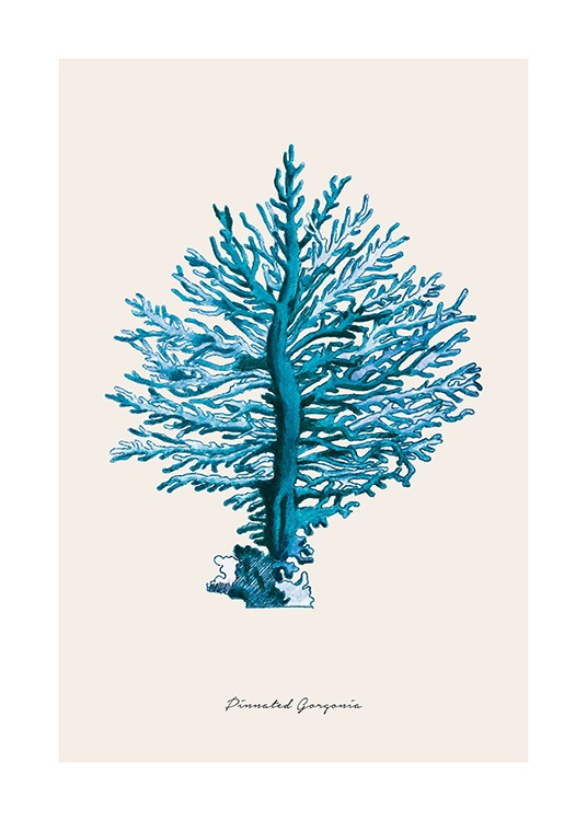 Blue Pinnated Gorgonia Poster / Naturmotiv hos Desenio AB (12430)