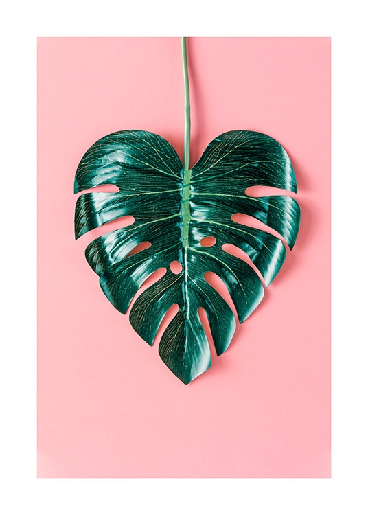 Heart-Shaped Monstera Poster