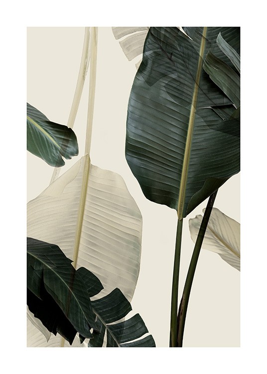 Banana Leaf Shades No1 Poster / Fotokonst hos Desenio AB (12585)