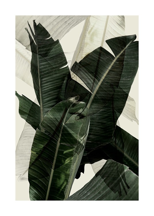 Banana Leaf Shades No2 Poster / Fotokonst hos Desenio AB (12586)