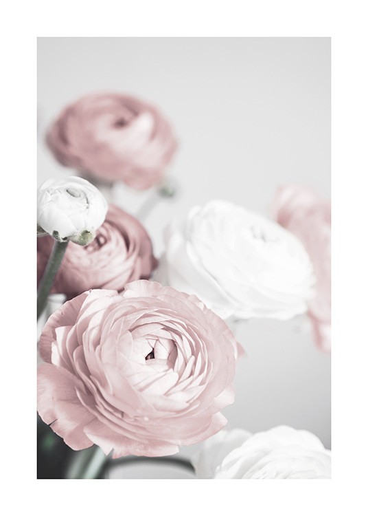 Lovely Roses Poster / Fotokonst hos Desenio AB (12654)