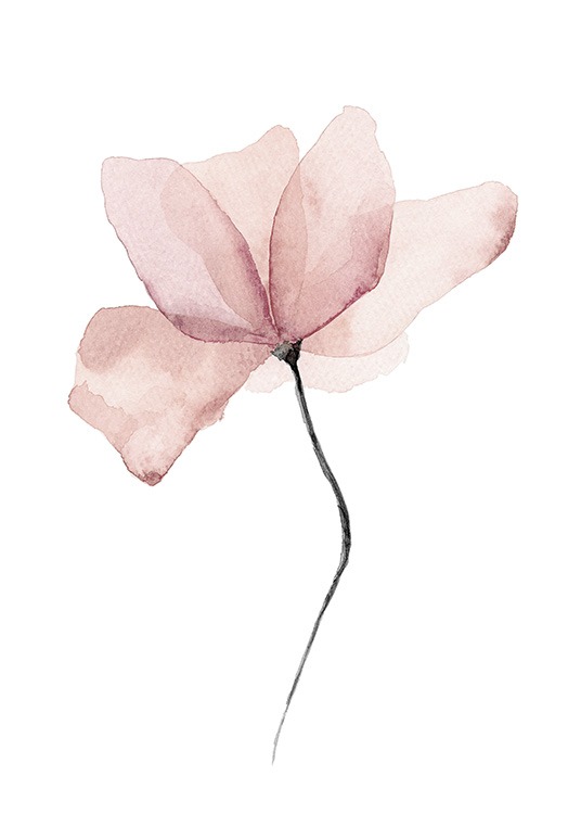 Aquarelle Flower Poster